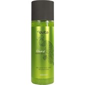 Evita - Touch of Asian Soul - Touch Of Asian Soul Silky Gloss Body Wash