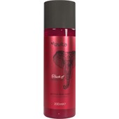 Evita - Touch of Indian Life - Glamour Body Wash