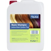 Evita - Haarpflege - Jedes Haar Basis Shampoo 