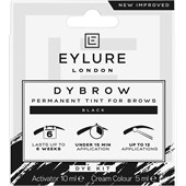 Eylure - Eyelashes - Dye Kit Dybrow Black