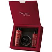 Fanola - Botugen - Botugen Special Repair Kit = Shampoo 300 ml + naamio 300 ml + täyttösuihke 150 ml