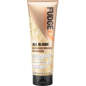 Fudge - Shampoos - Colour Boost Shampoo
