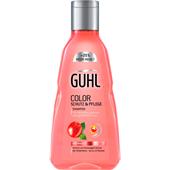 Guhl - Color Schutz & Pflege - Shampoo
