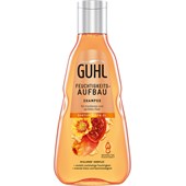 Guhl - Shampoo - Zvlhčující povzbuzující šampon