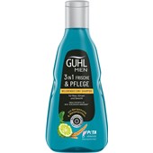 Guhl - Shampoo - Men 3in1 Frische & Pflege Belebendes Shampoo