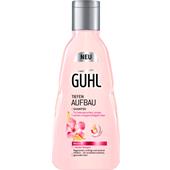 Guhl - Opbygning i dybden - Shampoo