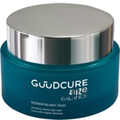 Guudcure - Age Balance - Regenerating Night Cream