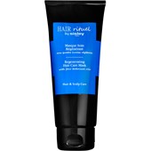 HAIR RITUEL by Sisley - Shampoos & Conditioner - Masque Soin Régénérant