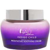 HAU Cosmetics - Péče o obličej - Day Care Cream