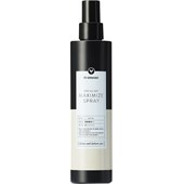 HH Simonsen - Peinado - Maximize Spray