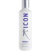 ICON - Styling - Shield