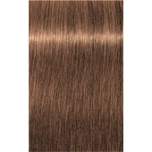 INDOLA - PCC Intense Coverage - 8.80 Biondo chiaro cioccolato naturale