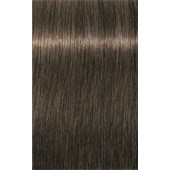 INDOLA - PCC Natural & Essential - 6.0 Dark Blonde