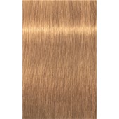 INDOLA - PCC Natural & Essential - No. 8.3 Light Blonde Gold