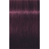 INDOLA - PCC Red & Fashion - 6.77x Dunkelblond Extra Violett