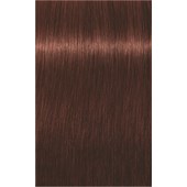 INDOLA - Xpress Color - 6.65 Dunkelblond Rot Mahagoni