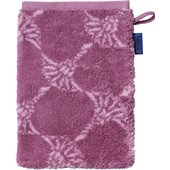 JOOP! - Cornflower - Magnolia Wash Glove
