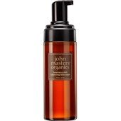 John Masters Organics - Unreine/Ölige Haut - Bearberry Skin Balancing Face Wash