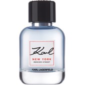 Karl Lagerfeld perfume ❤️ Buy online