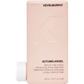 Kevin Murphy - Colouring Angels - Autumn Angel Treatment