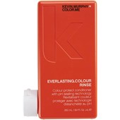 Kevin Murphy - Everlasting Colour - Rinse