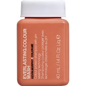 Kevin Murphy - Everlasting Colour - Wash