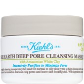 Kiehl's - Gesichtsmasken - Rare Earth Deep Pore Cleansing Masque