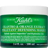 Kiehl's - Face masks - Cilantro & Orange Extract Pollutant Defending Masque