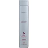 L'ANZA - Healing ColorCare - Silver Brightening Shampoo