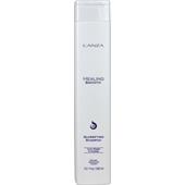 L'ANZA - Healing Smooth - Glossifying Shampoo