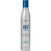 Lanza - KB2 - Hydrate Detangler