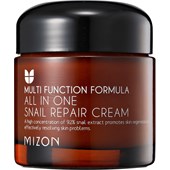 Mizon - Gesichtscremes - All-In-One Cream