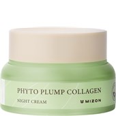 Mizon - Gesichtscremes - Phyto Plump Collagen Night Cream