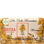 Nesti Dante Firenze - Dei Colli Fiorentini - Broom/Ginster Soap