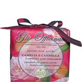 Nesti Dante Firenze - Gli Officinalli - Cinnamon Soap