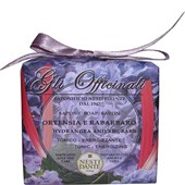 Nesti Dante Firenze - Gli Officinalli - Rhubarb Soap