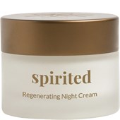 Nordic Cosmetics - Gesichtspflege - Night Cream