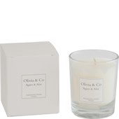 Olivia & Co - Bougies aromatiques - Agave & Aloe