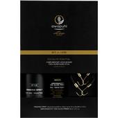 Paul Mitchell - Awapuhi - Socialite Ponytail Get The Look Set