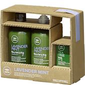 Paul Mitchell - Tea Tree Lavender Mint - The Art of Relaxation - Lavender Mint Gift Set