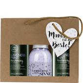 Paul Mitchell - Tea Tree Lavender Mint - Muttertagsset