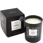Popup - Black Edition - Duftlys Bois de Cèdre