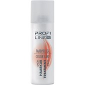 Profi Line - Farbpflege - Sprühkur