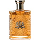 Ralph Lauren - Safari For Men - Eau de Toilette Spray