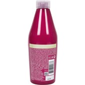 Redken - Nature+Science - Color Extend Conditioner