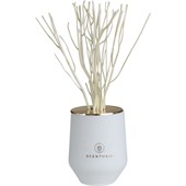 SCENTORIE. - Diffuser - West Beach