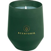 SCENTORIE. - Scented candles - Green Woods - Green