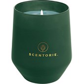 SCENTORIE. - Duftkerzen - Duftkerze Winter Walk - Green