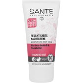 Sante Naturkosmetik - Gesichtspflege - Bio-Inchi-Öl & Sheabutter Feuchtigkeits Nachtcreme