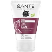 Sante Naturkosmetik - Máscara - Hoja de abedul orgánica y proteína vegetal Mascarilla Brillo 3 Min Hoja de Abedul Orgánica y Proteína Vegetal